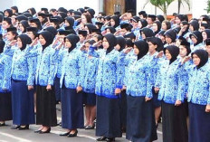 Bengkulu Buka Lelang Jabatan Eselon II, Kursi Panas Menanti 19 Pejabat Berkualitas