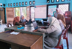 Pemdes Tanjung Besar BS Lakukan Penginputan IDM