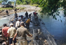 Respon Cepat Atasi Dampak Banjir, Pemkab BU Gotong Royong Pemasangan Bronjong