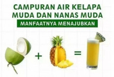 Ini Manfaat Campuran Air Kelapa Muda Dengan Nanas Muda