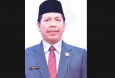 Opsen Pajak Kendaraan Mulai Berlaku Nasional, Semua Daerah Dapat Tambahan Pendapatan