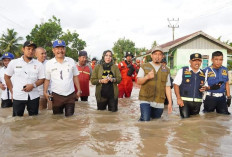 Pemkot Bengkulu Fokuskan Penanganan Masalah Banjir Dedy : APBD Murni 2026 Untuk Pembangunan Infrastruktur