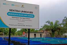 Kelompok Tani Agro Mulya: UMKM Binaan BSI Maslahat Sukses Berdayakan Mustahik Lewat Budidaya Ikan Bioflok 