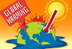 10 Hal Bisa Berubah Jika Pemanasan Global Terjadi