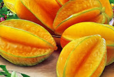 Inilah 6 Buah Buahan Beracun yang ada disekitar Kita, termasuk buah Belimbing