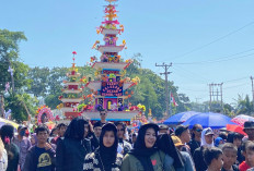 Meski Hujan Badai, Masyarakat Antusias Saksikan Arak-arakan Tabut Tebuang