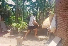 Dugaan Perselingkuhan Guru SD Kecamatan Pino Raya Dilaporkan ke Inspektorat