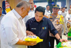 Menteri BUMN Tunjuk Mayor Jenderal TNI  Novi Helmy Sebagai Dirut Bulog