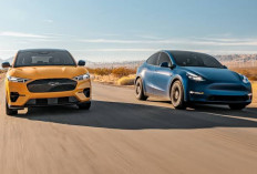 Persaingan Panas di Pasar Mobil Listrik yang Kian Populer antara Tesla Y Vs Ford Mustang Mach E