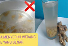 5 Minuman Sehat yang Baik untuk dikonsumsi di Pagi Hari, Salah Satunya Teh Hijau