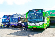 Semua Armada Bus di BengkuluDinyatakan Layak untuk Beroperasi