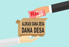 Mendes Larang Dana Desa Dibangun Kantor Desa