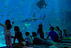 Ini Loh Tempat Liburan Paling Mewah di Asia Tenggara