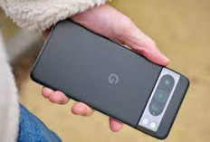 Google Pixel 8 Pro Merupakan Ponsel dengan Kamera Terbaik