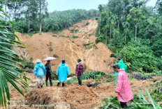 Akibat Bencana Alam di Kabupaten Agam Sumatera Barat 74 Orang Tewas
