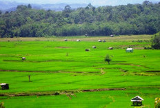 Bengkulu Tengah Dukung Program Pemerintah Pusat