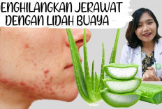 Jangan Salah! Ini 6 Tips Menggunakan Lidah Buaya untuk Kecantikan dan Cara Menggunakannya