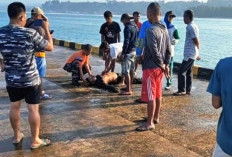 Meninggal Dunia, Anggota TNI Komcad Digulung Ombak Saat Mancing di Dermaga Laut Linau