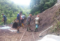 Pemerintah Cepat Tanggap, BPBD Turunkan Tim Tangani Longsor di Lebong Tandai