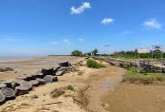 5 wisata yang wajib dikunjungi di pamekasan madura, ada pantai yang indah hingga bukit