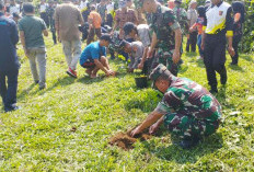 Kodim 0423/BU Lakukan Karya Bhakti Penanaman Pohon di Tanjung Genting Guna Atasi Banjir Musiman