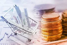 Boleh Dicoba!  4 Jenis Investasi Online yang Bisa Dilakukan dengan Smartphone: Cocok banget buat pemula