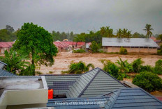 BSI Maslahat Bergerak Cepat Bantu Korban Banjir dan Longsor di Sumatera