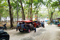 Pantai Laguna Samudera Kaur Dipadati Ribuan Pengunjung pada Malam Pergantian Tahun Baru