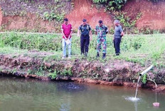 Kodim 0423 Bengkulu Utara Bentuk Demplot Kolam Ikan di Desa Tambak Rejo