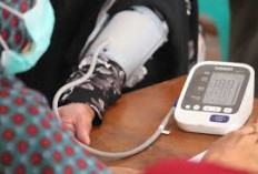 Inilah Makanan Penurun Darah Tinggi, Cocok Untuk Penderita Hipertensi 