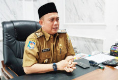 Bengkulu Bangkit, 1.500 Sarjana dan Diploma Dipasok ke Dunia Kerja