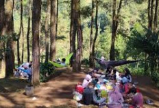 5 Tempat Wisata yang Sejuk di Ciamis, Pilihan Tepat liburan Lebaran sambil menikmati pemandangan alam 