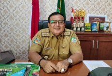 Kuota Pupuk Subsidi Kabupaten Kaur naik 5.406 Ton
