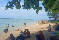 Wisata Pantai Laguna Samudera jadi Favorit Tempat Liburan Keluarga