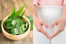 Kombinasi Daun Pandan, Kunyit dan Bahan Dapur Lain Ternyata Bisa Mengencangkan Miss V