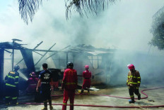 Lima Bedengan di Nusa Indah Ludes Terbakar, Penyebab Belum Diketahui