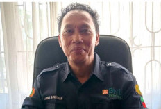 Untuk Petani BS Ada Kuota Replanting Sawit 1.500 Hektar