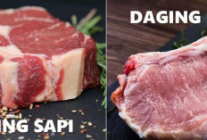 Setelah Membaca Ini Anda Pasti Paham Membedakan Daging Babi dan Daging Sapi