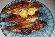 Resep Ikan Nila Bakar Ala Rumahan dari Mama Naryati