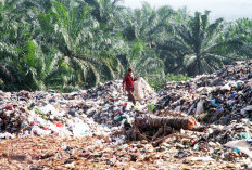 Masyarakat Bingung, Pemerintah  Kota Bengkulu Diminta Serius Atasi Sampah