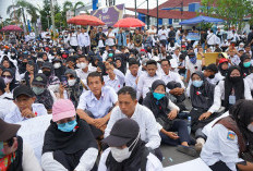 DPRD dan BKD Provinsi Bengkulu Bahas Nasib dan Status Tenaga Honorer