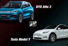 Tesla Model Y vs BYD Atto 3: Siapa yang Lebih Unggul di Kelasnya?