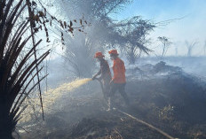 Kebakaran Lahan Gambut di Mukomuko Terus Meluas dan Mengarah ke RSUD 