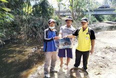 Sungai Perumbaian Membusuk dan Berwarna Hitam Kecoklatan