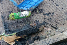 Berjuang Selamatkan Rumah, Warga Pondok Suguh Mengalami Luka Bakar Cukup Parah