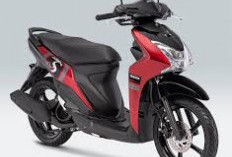 Hanya 3 jutaan! Berikut 5 Rekomendasi Motor Seken dengan performa Handal juga terjangkau