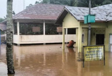 Waspada, Ini Titik Jalinbar yang Kerap Terendam Banjir dan Longsor di Seluma