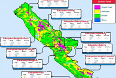 Walikota Himbau Kesiapsiagaan Masyarakat Terkait Cuaca Ekstrem Bengkulu