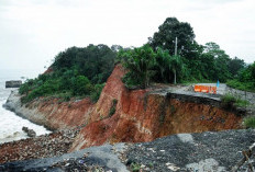 Pemerintah Provinsi Masih Berupaya Cari Solusi Abrasi Pantai Ketahun