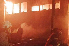 13 Unit  Damkar Taklukkan Si Jago Merah Gedung Pusdiklatda Kwarda 07 Bengkulu